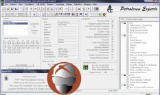 Petroleum Experts IPM v7.5.600 Free Download Full Version