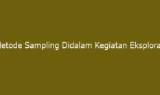 Metode Sampling Didalam Kegiatan Eksplorasi