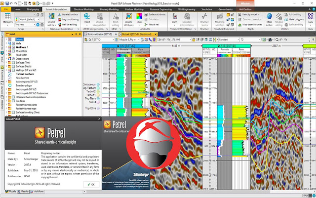 Download Petrel 2017.4 Free Full Licensi